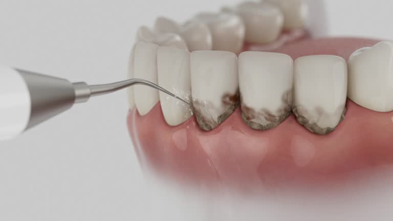 Reliable Dental contractor in San Marcos, TX by Dentist Open Now